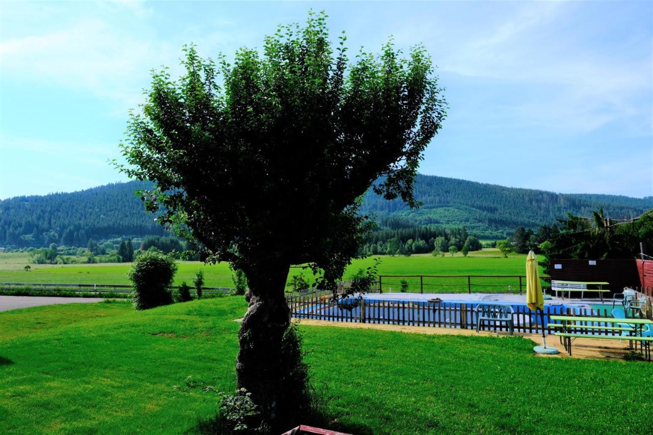 B Und B Titisee Hotel Sonnenmatte Nahe Badeparadies Ngoại thất bức ảnh